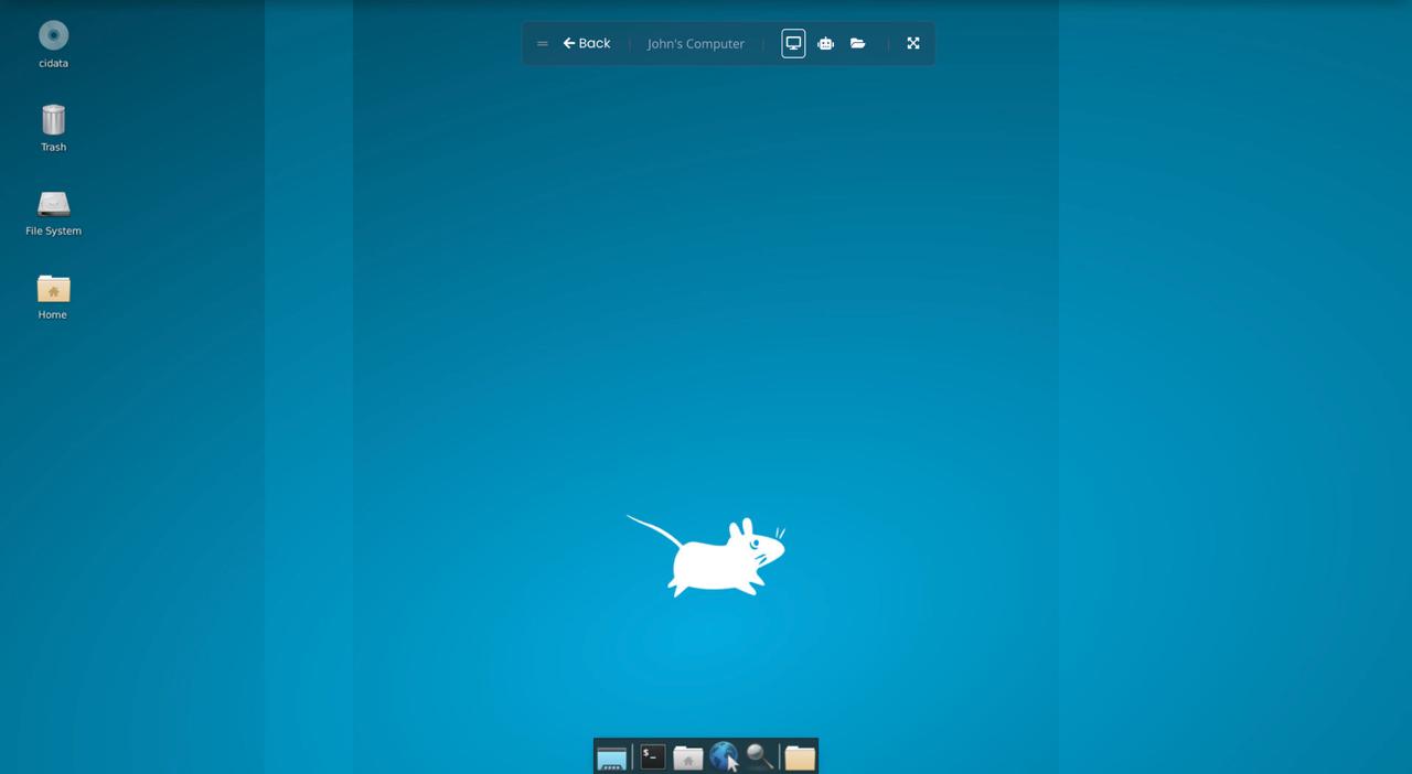 SwarmNode desktop