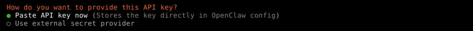 Paste API key prompt
